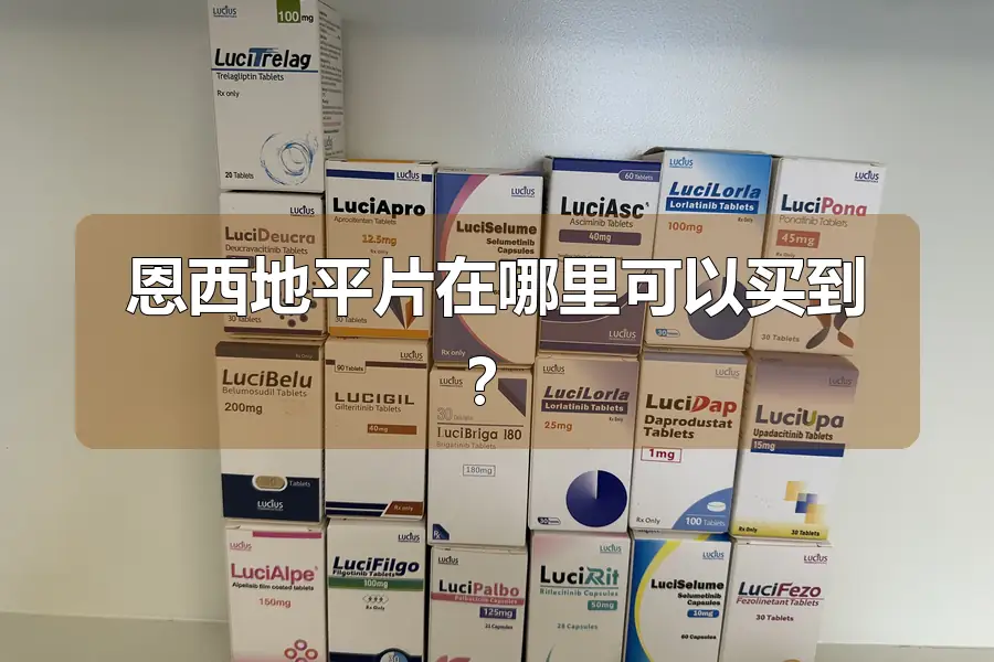 恩西地平片在哪里可以买到?