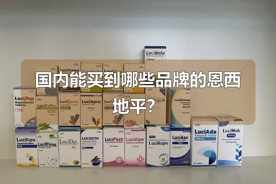 国内能买到哪些品牌的恩西地平?